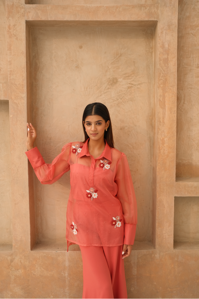 Floral embellished co-ord set with color blocking pant