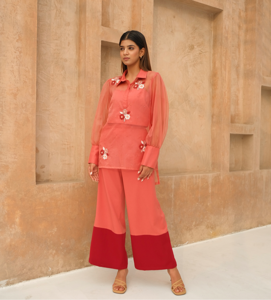 Floral embellished co-ord set with color blocking pant