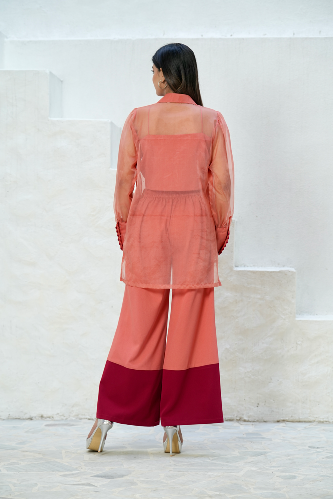Floral embellished co-ord set with color blocking pant